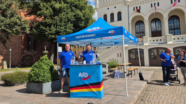 AfD im Kampf gegen Windmühlen!
