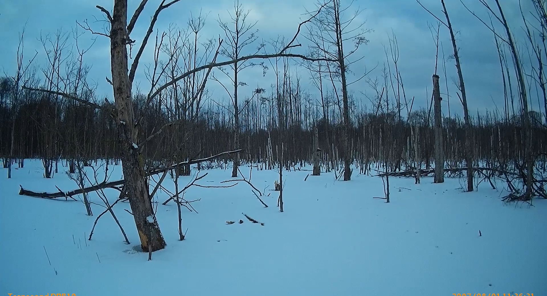 Es gibt keine menschengemachte Klimaerwärmung! Nur Geschäftsmodelle!